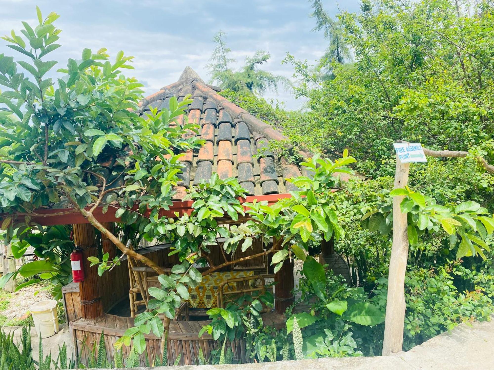 Kivu Macheo Eco-Lodge Kibuye Εξωτερικό φωτογραφία